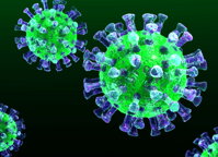 koronavirus koronavirus